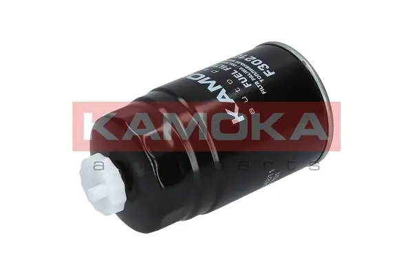 Fuel Filter F307801
