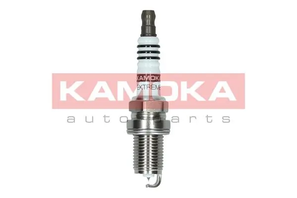 Spark Plug 7100030