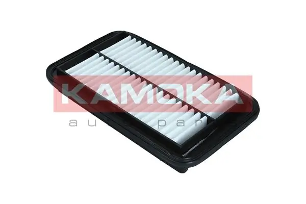 Air Filter F251601