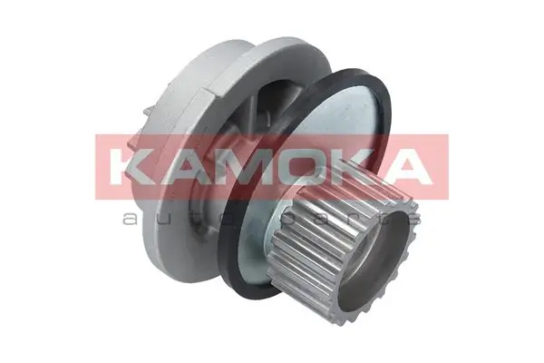 Water Pump, engine cooling T0126