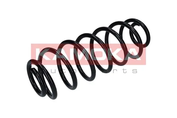 Suspension Spring 2120161