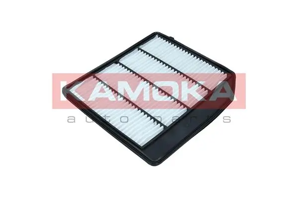 Air Filter F258501