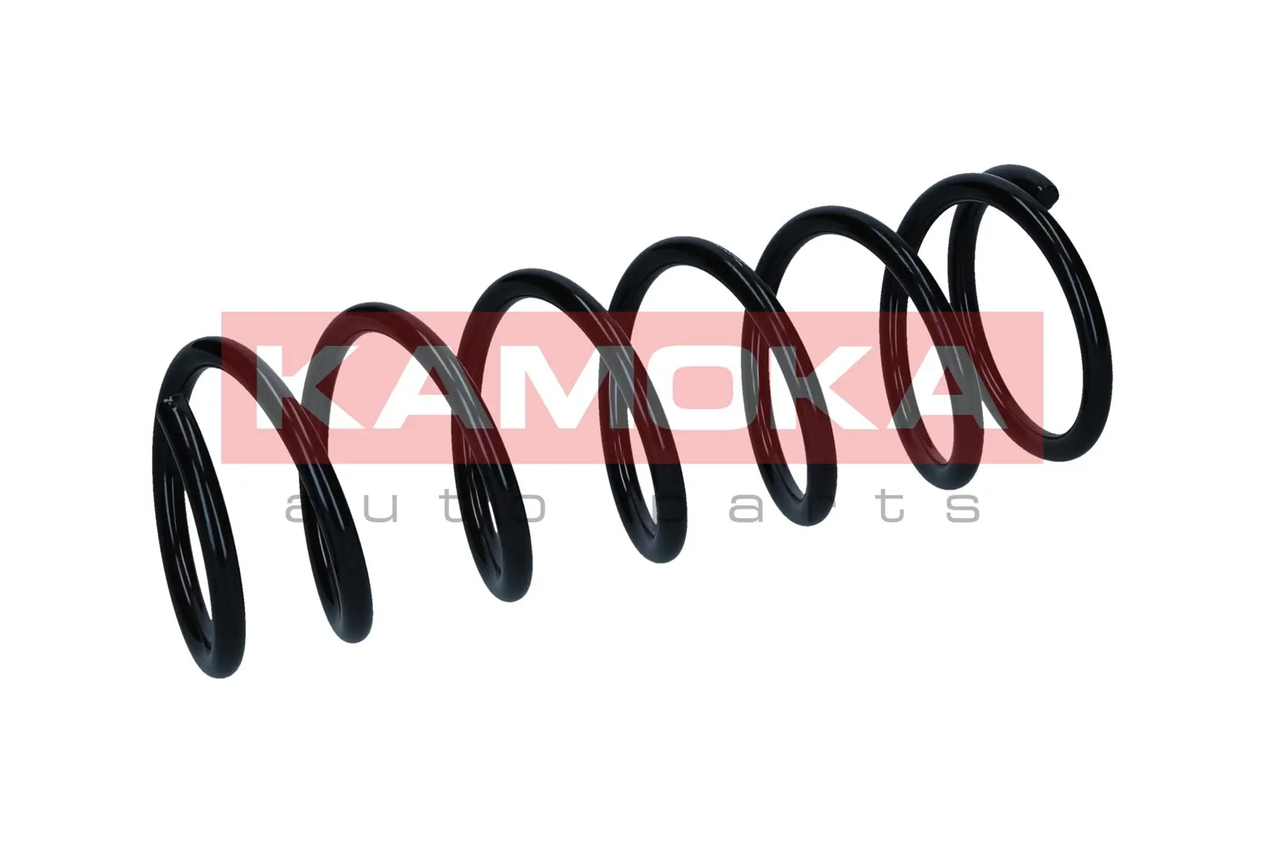 Suspension Spring 2110882