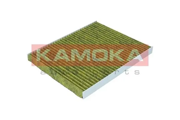 Filter, cabin air 6080095