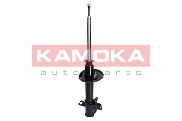 Shock Absorber 2000168