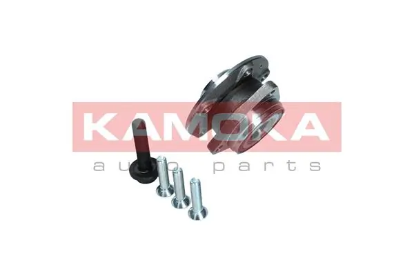 Wheel Bearing Kit 5500171