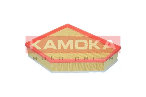 Air Filter F255501
