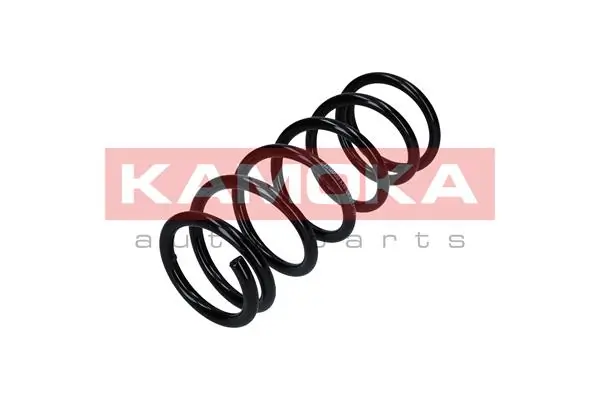 Suspension Spring 2120008