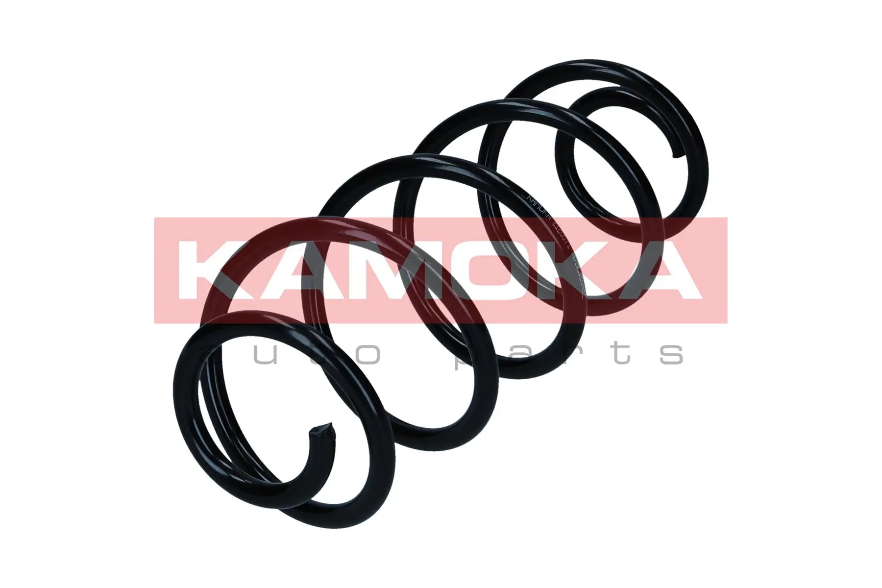 Suspension Spring 2120571