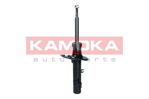 Shock Absorber 2000579