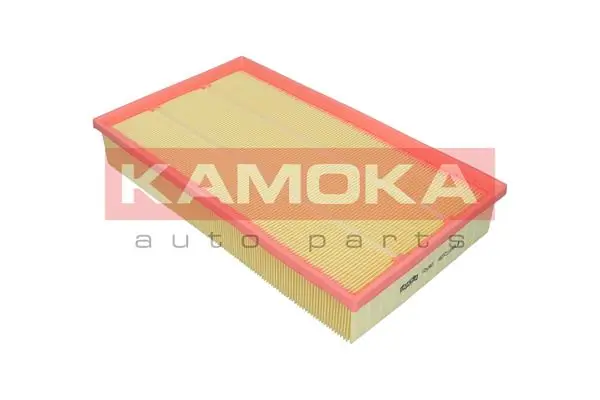 Filter udara F257601