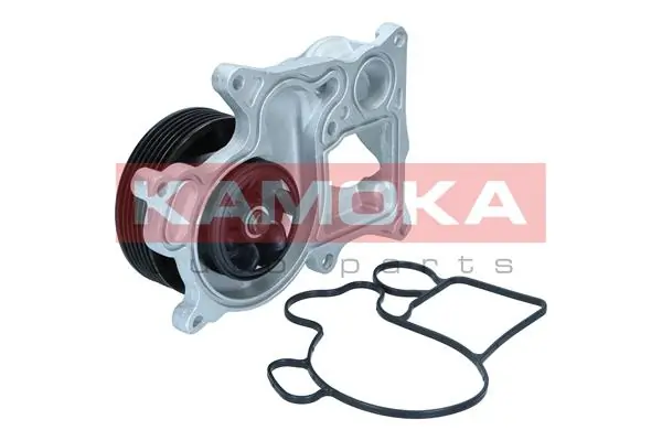 Water Pump, engine cooling T0301