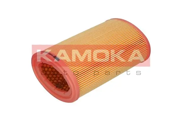 Air Filter F213801