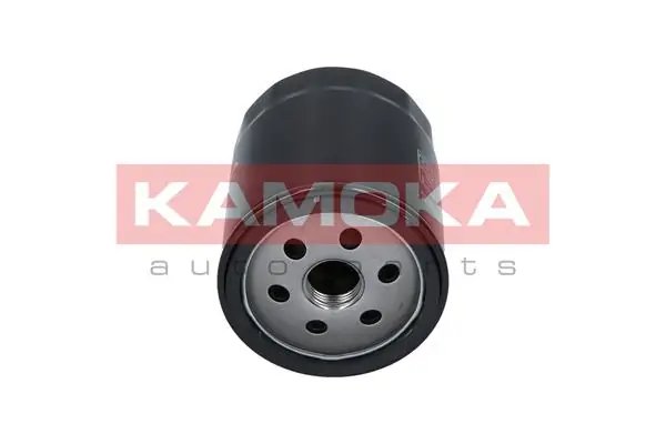 Oil Filter F105001