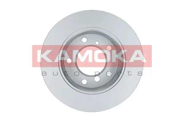 Brake Disc 1031864