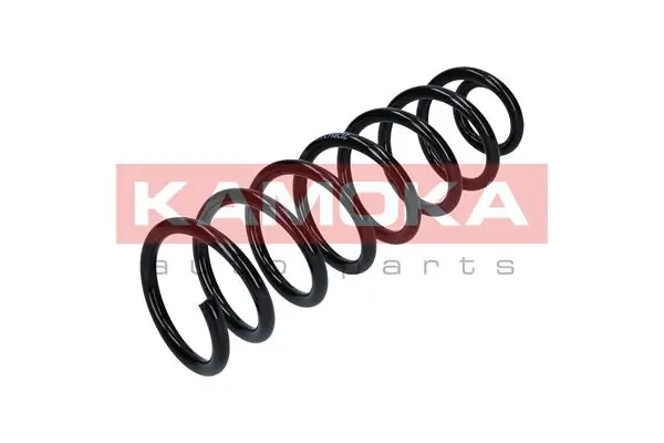 Suspension Spring 2120167