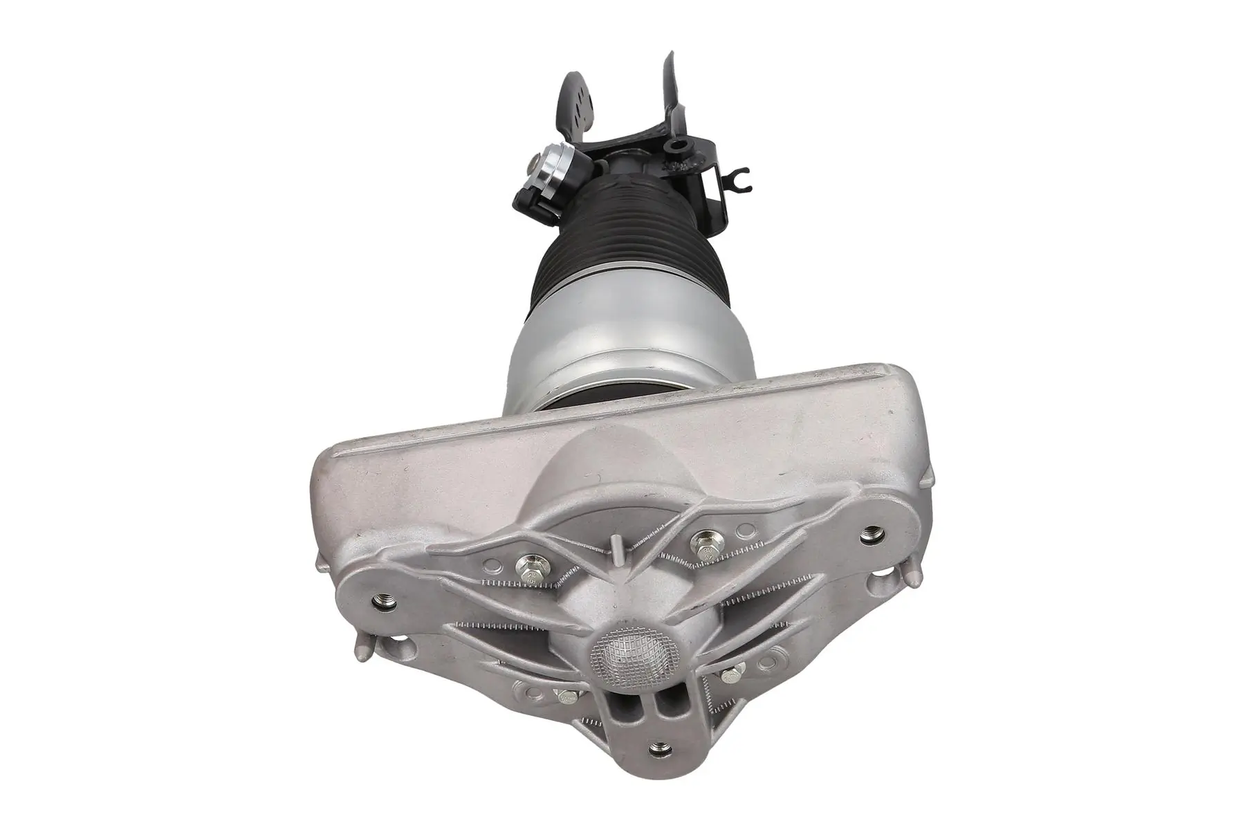 Air Suspension Strut 2070127