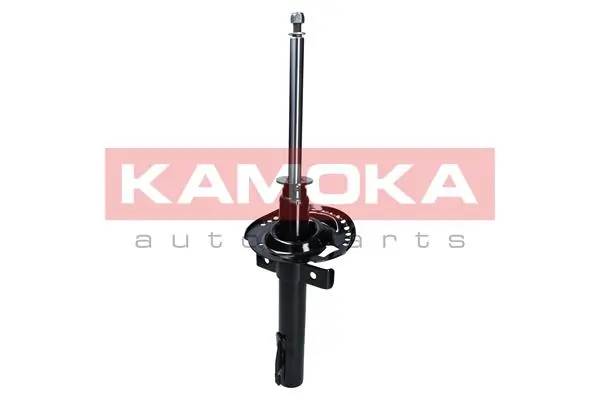 Shock Absorber 2000388