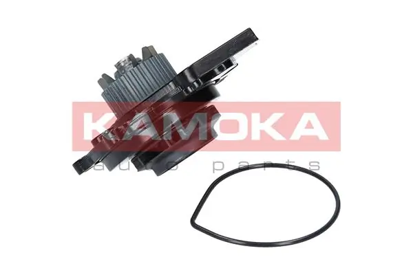 Water Pump, engine cooling T0031