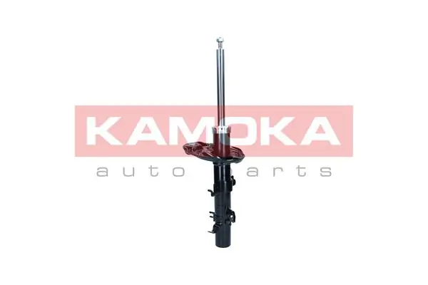 Shock Absorber 2000332