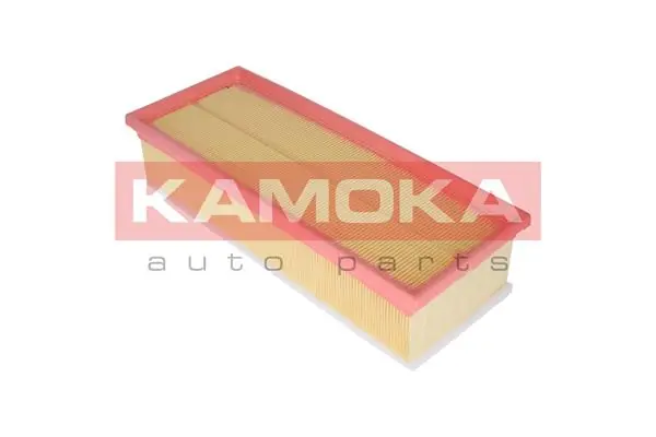 Air Filter F229701