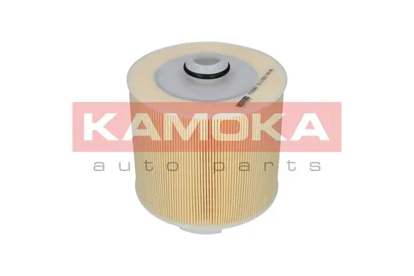Air Filter F236801
