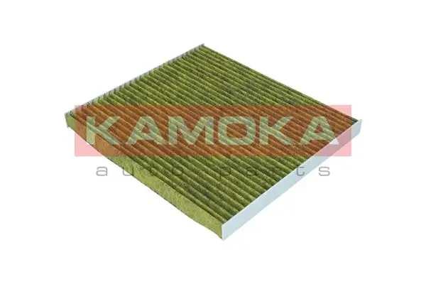 Filter, cabin air 6080086