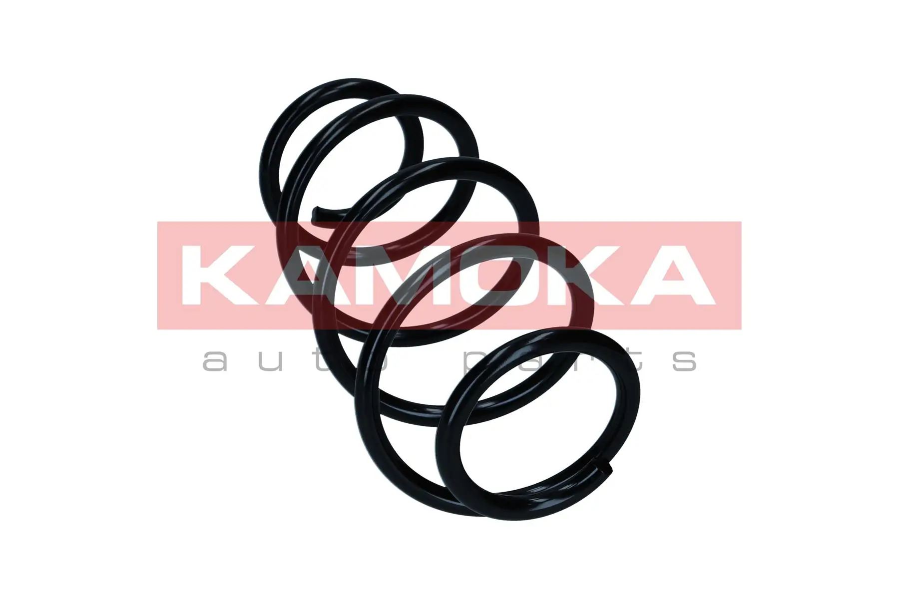 Suspension Spring 2110823