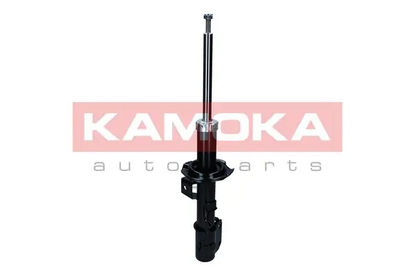 Shock Absorber 2001230