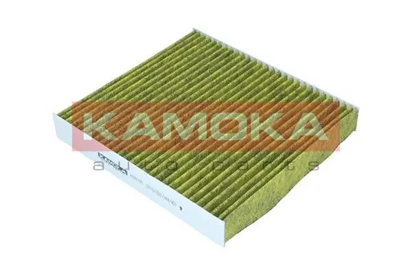 Filter, cabin air 6080086