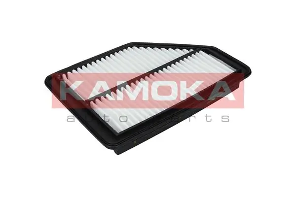 Air Filter F225901