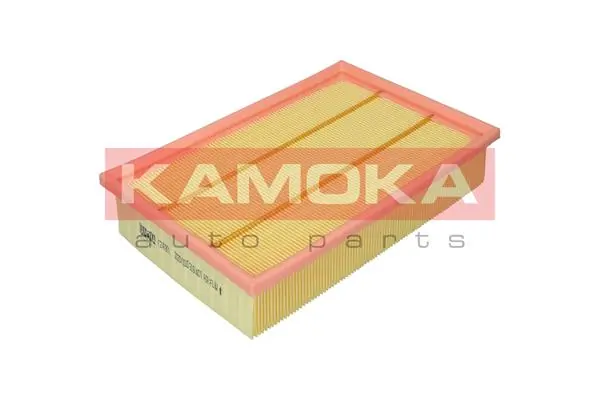 Air Filter F247801