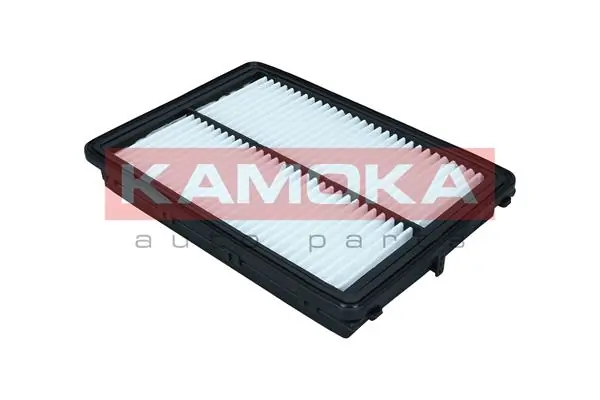Air Filter F244501