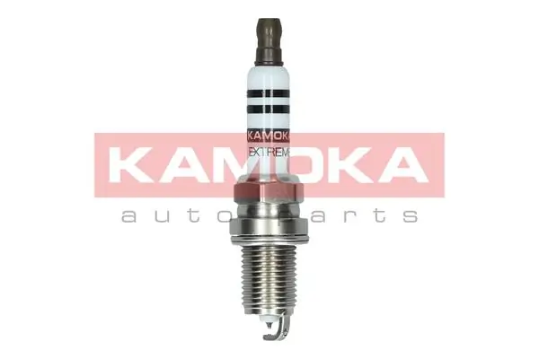 Spark Plug 7090011