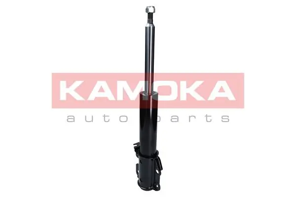 Shock Absorber 2000492
