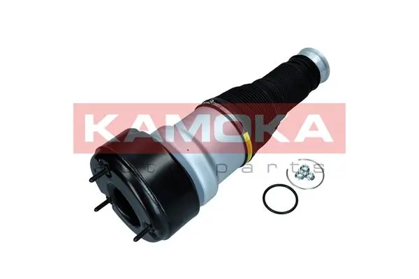 Air Spring, suspension 2079039