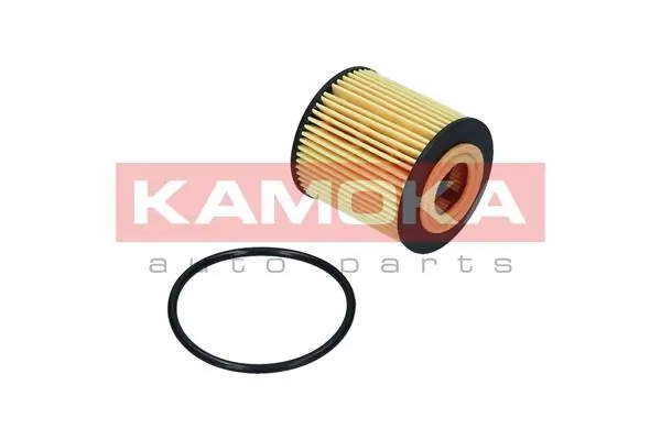 Oil Filter F120901