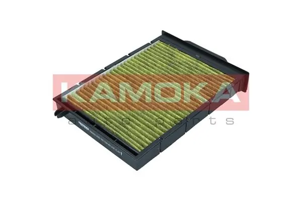 Filter, cabin air 6080023