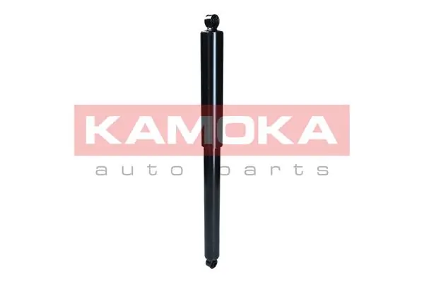 Shock Absorber 2001285