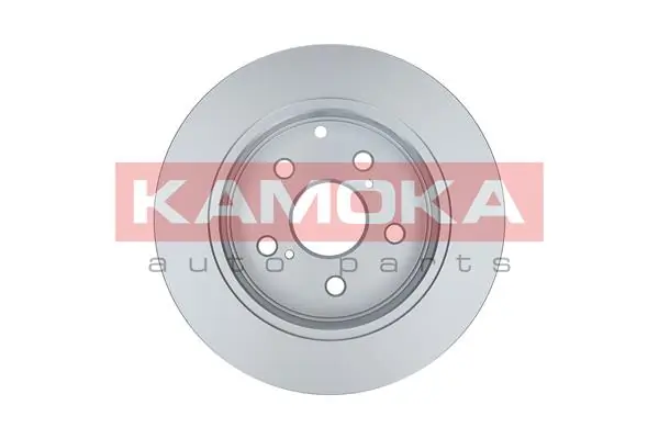 Brake Disc 1031624