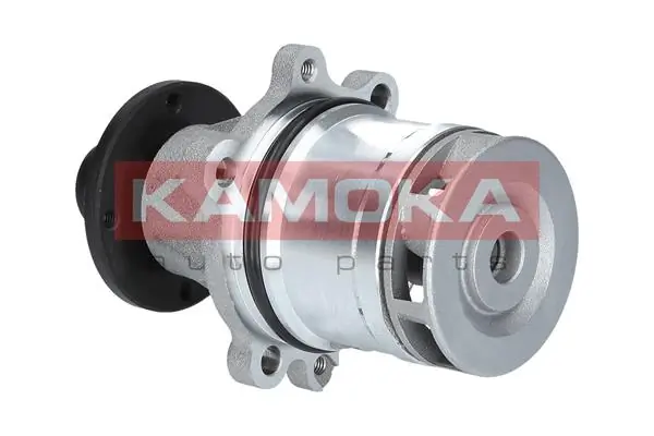 Water Pump, engine cooling T0057