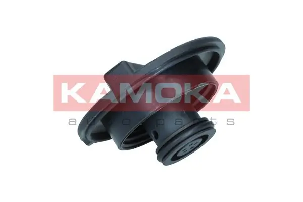 Cap, coolant tank 7729020