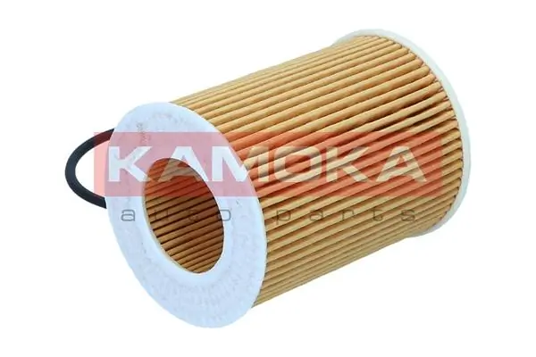 Oil Filter F125301