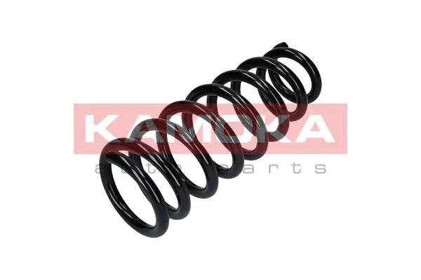 Suspension Spring 2120228