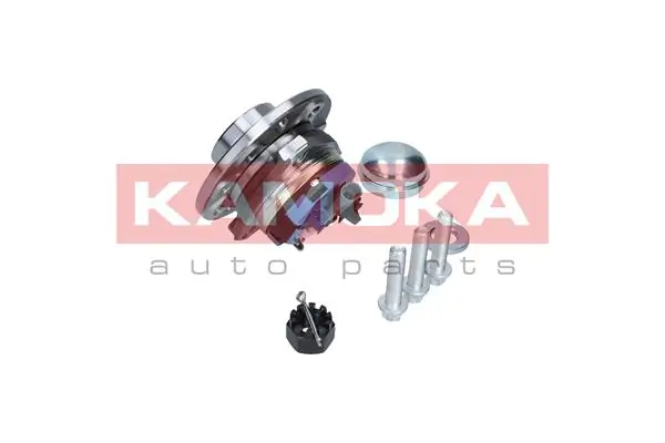 Wheel Bearing Kit 5500059