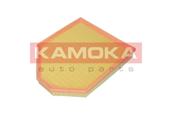 Air Filter F243401