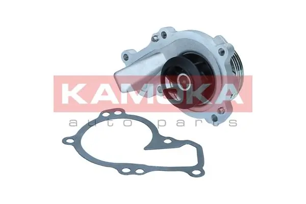 Water Pump, engine cooling T0295