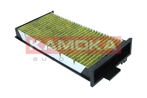 Filter, cabin air 6080018