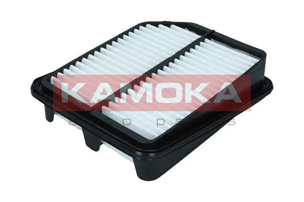 Air Filter F249901