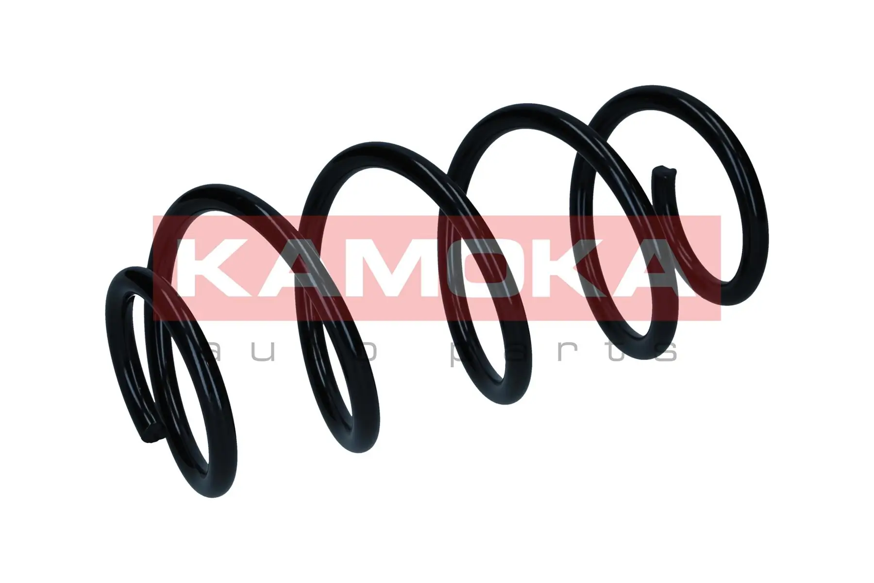 Suspension Spring 2110832